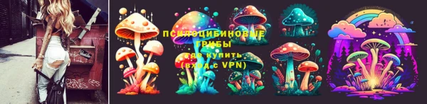 ПСИЛОЦИБИНОВЫЕ ГРИБЫ Балабаново