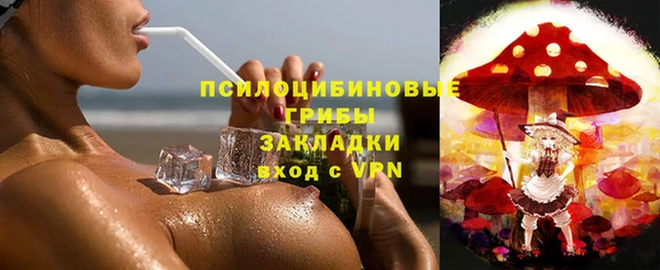 ПСИЛОЦИБИНОВЫЕ ГРИБЫ Балабаново