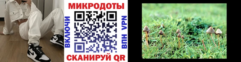 где продают   Ревда  Псилоцибиновые грибы Magic Shrooms 