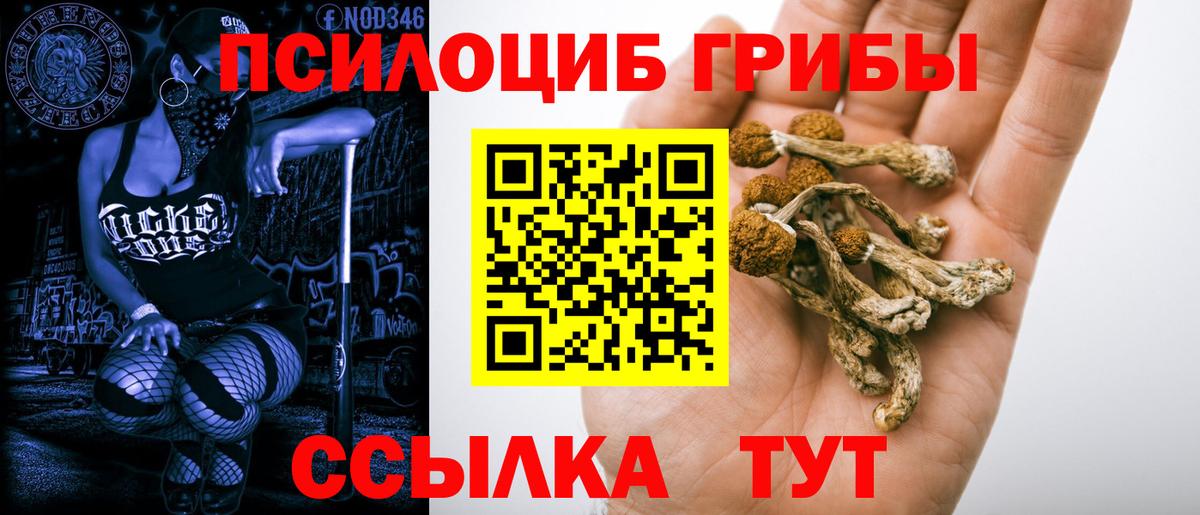 Ревда  наркошоп  Вход с VPN  Галлюциногенные грибы ЛСД  Псилоцибиновые грибы Psilocybine cubensis 