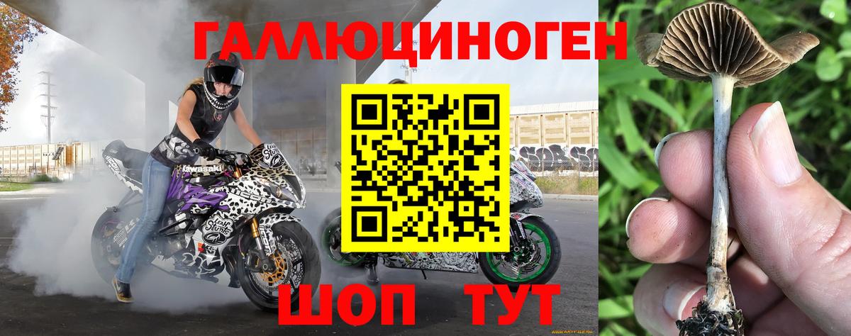 Ревда  Псилоцибиновые грибы мухоморы  Вход с VPN 